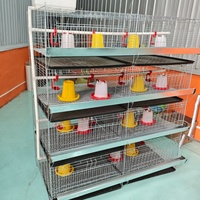 Couveuse en fil d'acier galvanisé durable de type H Cage multifonctionnelle pour poussins Nouvelle cage de batterie de poulet de ferme pour volaille Kenya