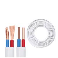 Kabel dan Kawat Tembaga Putih 2 3 Inti untuk Perbaikan Rumah BVVB 2 1/ 1.5/ 2.5/ 4/ 6 Mm Kabel Daya dan Kawat Listrik