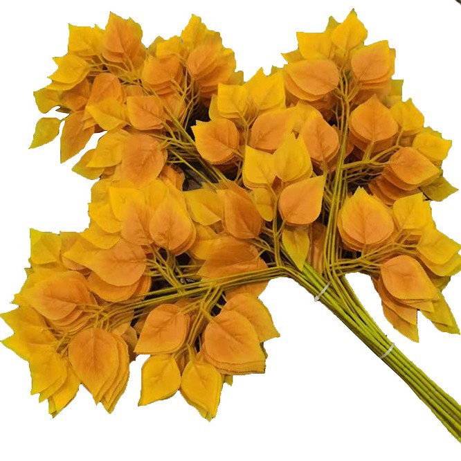 Branche de bouleau jaune