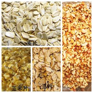 Machine à aplatir et à broyer commerciale granule pour soja de maïs - Product Image 4