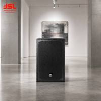 Haut-parleur passif JSL Professional Indoor Installation DX-15 de 15 pouces 500W pour auditorium, théâtre et salle de réunion