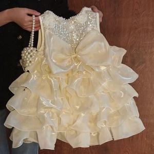 Vestido de encaje para perro, falda de boda para gato, bordado de lentejuelas para cachorro, flor, boda, ropa para perro, verano, gato, vestido de princesa Floral - Product Image 2