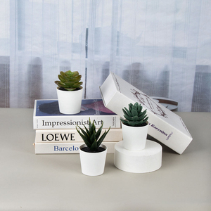 Ensemble de 3 mini-plantes succulentes en plastique - Petites plantes artificielles de bureau avec pots décoratifs - Product Image 3
