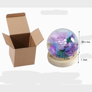 Cadeaux en gros que les jeunes adorent : Rose véritable préservée sous cloche en verre avec base en bois pour la décoration intérieure - Product Image 6