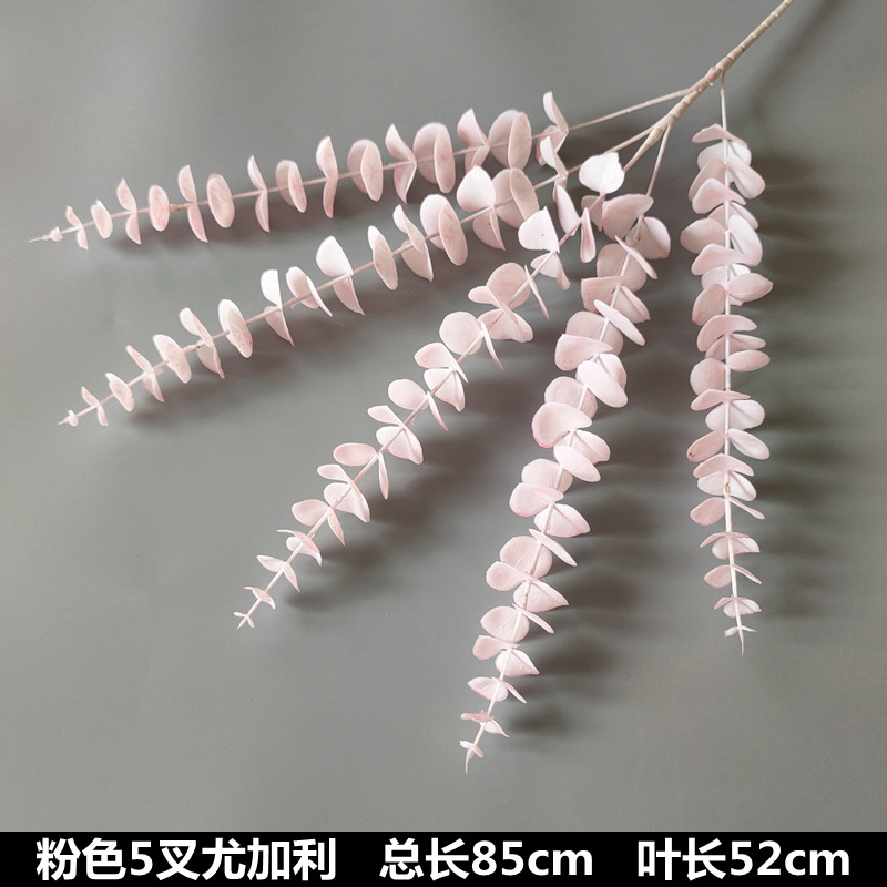 5 fourchettes eucalyptus