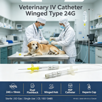 Cannule IV à ailettes de qualité médicale pour chatons (vétérinaire)