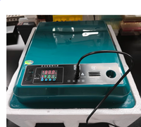 120 pièces de boîte d'incubation d'ajout d'eau entièrement automatique à double puissance pour les œufs à couver.