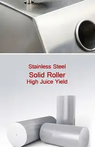 Sıcak satış şeker kamışı suyu makinesi paslanmaz çelik şeker kamışı sıkacağı yüksek kalite ve en iyi fiyat ile