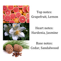 Guangzhou Fournisseur Vente En Gros Importation 5ml Huile Arabe Dubaï Femme Parfums