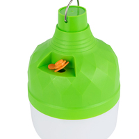 Haute puissance 30W 40W 50W portable d'urgence rechargeable LED ampoule liste de prix