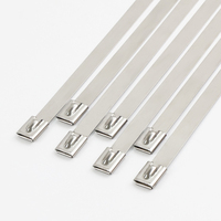 Attaches de câbles en acier inoxydable 304 de qualité industrielle, attaches métalliques non revêtues pour la gestion des câbles et la fixation des tuyaux