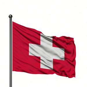 Drapeau de l'équipe nationale de football de l'<span class=keywords><strong>Euro</strong></span> 2026, bannière personnalisée avec logo, impression sérigraphique sur polyester, drapeau portable avec 2 œillets - Product Image 3