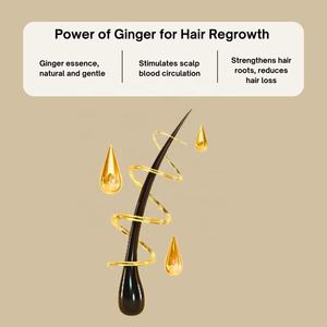 Shampoo Anticaduta al 100% Naturale con Siero Spray - Vendita Calda in Vietnam - Product Image 5