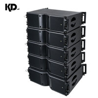 Haut-parleur audio professionnel à aimant néodyme, impédance 8 ohms, système sonore à double ligne linéaire de 8 pouces