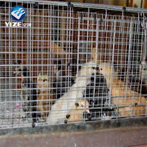 Gà Thịt gà lồng Gà nhà bán GỖ GÀ Coop lớn - Product Image 2