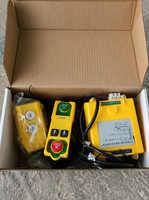 Palans électriques 220V avec télécommande sans fil, double commande avec commande filaire et télécommande sans fil