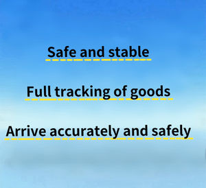 يوم واحد-الشحن الجوي إلى المطارات الجمركية الرئيسية في جميع أنحاء العالم - Product Image 2