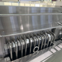 Friteuse électrique commerciale verticale à double cuve et quatre paniers pour les restaurants de restauration rapide occidentale - Nuggets de poulet