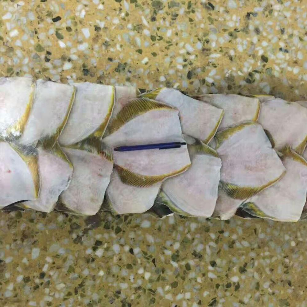 冷冻黄貂鱼滑鱼 - buy skate fish,stingray fish,frozen skate fish