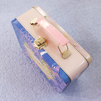 Boîte à lunch portable en métal avec logo personnalisé, vente en gros, étui de rangement en fer blanc pour enfants, boîte en fer blanc portable pour l'école, plusieurs contenants, OEM