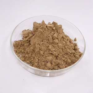 HONGDA食品工場供給のための高品質10% 苦味メロン粉末苦味メロンエキス溶剤抽出 - Product Image 5