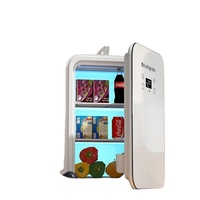 Mini-réfrigérateur et congélateur double usage à porte simple pour cosmétiques, maison et voiture, 220V, compresseur Bristol