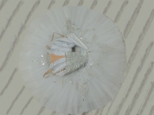 Abito <span class=keywords><strong>da</strong></span> Danza per Ragazze e Donne <span class=keywords><strong>Tutù</strong></span> Scintillante <span class=keywords><strong>da</strong></span> <span class=keywords><strong>Ballerina</strong></span> Professionista Personalizzabile per Danza Classica Regina delle Nevi <span class=keywords><strong>Tutù</strong></span> a Piatto Classico <span class=keywords><strong>da</strong></span> Fata - Product Image 5