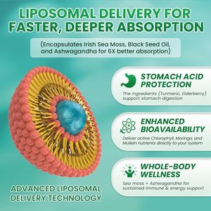 Vente en gros 60ml de supplément de gouttes liquides de mousse de mer végétalienne biologique avec de l'huile de graines noires Ashwagandha pour stimuler l'immunité soutien de la thyroïde - Product Image 3