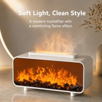 Diffuseur d'arômes à flamme avec humidificateur, lumière LED réglable et brume, grande capacité (plus de 200 ml) en plastique pour le bureau et la maison