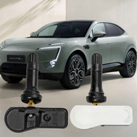 Outil de diagnostic de pneus de voiture Daovay Solar TPMS, mini capteur interne, sans fil, universel, durée de vie de la batterie de 5 ans, quatre roues