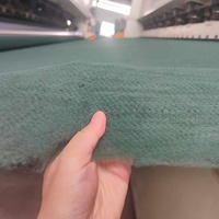 Géotextile en polyester pour la protection des berges des rivières