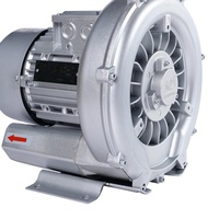 Souffleur à canal latéral à haut débit d'air 950 W 60 Hz 210 m³/h pour la circulation des piscines