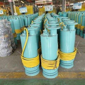 Bqs Bomba Sumergible Centrífuga Eléctrica a Prueba de Explosiones para Minería, 7.5 HP, con Conexión de Brida - Product Image 3
