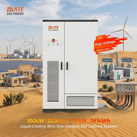 Système de Stockage d'Énergie Solaire Haute Tension (ESS) 100kW 232kWh 125kW 261kWh avec Batterie LiFePO4, Armoire de Stockage, Refroidissement Liquide, PCS et BMS