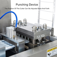 DPP plastique et Alu blister ampoule automatique seringue d'injection jetable blister machine d'emballage