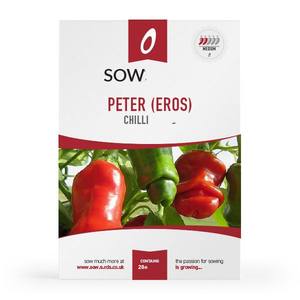 ภาชนะใส่กระดาษมะละกอสำหรับผู้หญิงชุดเก็บผักดีไซน์เทียมสำหรับปลูกต้นไม้ตั้งโต๊ะในสวนบ้าน-สภาพการใช้งาน - Product Image 6