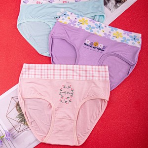 Braguitas de Algodón de Cintura Alta para Mujer, Tallas Grandes, Sin Costuras, Sexy, Transpirables, Lencería Reductora, Ropa Interior para Chicas - Product Image 3