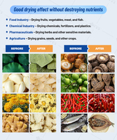Ligne de séchage automatique des aliments en acier inoxydable 304 pour les produits croustillants, les snacks et les biscuits