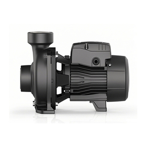 ปั๊มน้ำแรงดันสูง 22 เมตร 550 ลิตร/นาที แบบสมาร์ทเฟสเดียว สำหรับบำบัดน้ำ  OEM ปรับแต่งได้ 1.5 กิโลวัตต์ 5.5 แรงม้า - Product Image 2