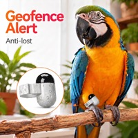 Localisateur GPS pour oiseaux de compagnie, mini 2,2g étanche IP68, alerte géofence, anneau anti-perte pour perroquet, vente en gros, dropshipping