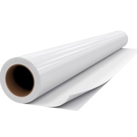 Film en rouleau PETG APET de qualité alimentaire 0,3 mm pour thermoformage