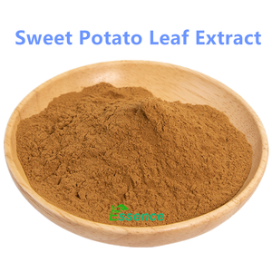 Bubuk Daun Ubi Jalar Organik Alami Murni Bubuk Daun Ipomoea Batatas dengan Harga Terbaik - Product Image 3