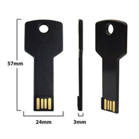 Flash Drive USB 2.0 Bentuk Kunci Logam dengan Logo Custom, Warna Perak Baru, Bersertifikasi CE/RoHS, Garansi 1 Tahun
