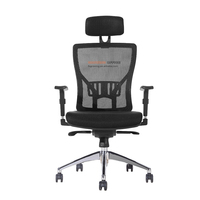 Foshan fabrication en vrac Chrome solide dos ergonomique bureau hydraulique soutien lombaire chaise maille chaise accessoires
