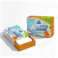 Fournisseur en gros de feuilles de lessive écologiques ODM à base de plantes – Produits de nettoyage du linge
