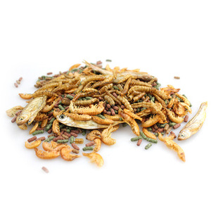 Nourriture pour tortue brésilienne Nourriture juvénile vivante et sèche pour petites tortues Alligators et poissons Crevettes Nourriture universelle pour animaux de compagnie - Product Image 5