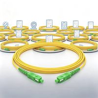 Cordon de brassage fibre optique SC/APC vers SC/APC, monomode G.657.A2 LSZH 2.0mm, insensible aux plis, 100% testé pour FTTH/PON/CATV