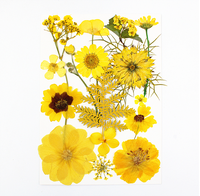 Vraies fleurs naturelles séchées, 1 boîte de pièces, mélange aléatoire, pour bougie, décoration, Nail Art, autocollants, moule, en époxy, bijoux, DIY