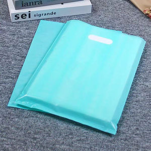 Bolsa de transporte reutilizable de embalaje minorista de boutique personalizada Bolsas de compras de plástico con asa troquelada con logotipos - Product Image 5