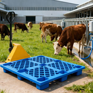 Plateau en plastique étanche à l'humidité à grille, grand 1200*1000*140mm C, utilisé pour les entrepôts de supermarchés et les plateaux industriels surélevés d'usine - Product Image 5